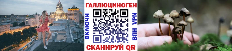 hydra   Реж  Галлюциногенные грибы Psilocybe 