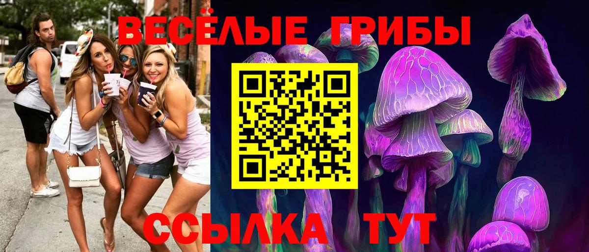 цена наркотик  Псилоцибиновые грибы Magic Shrooms  Вход с VPN  Реж 